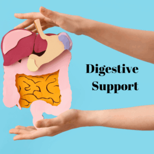 Digestive Support